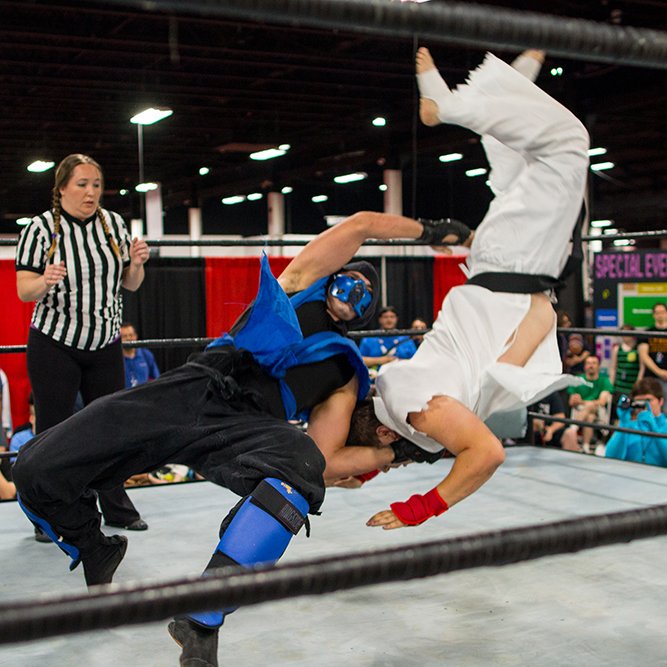 CosplayWrestling